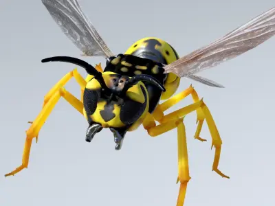 Wasp high poly flying in air Free 3D model