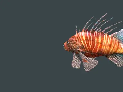 lion fish 3D model