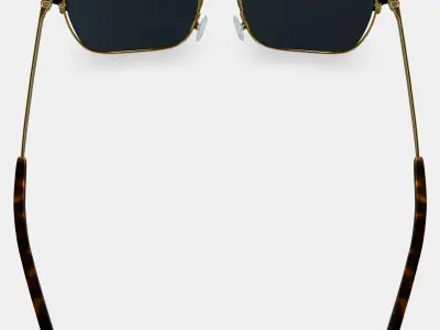 Ramona Sunglasses in Jet Black with Polished Gold 3D model