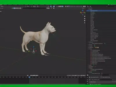 Dogo Argentino Dog Free low-poly 3D model