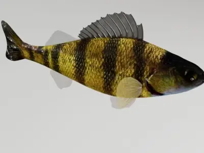 Bony Fish Low-poly 3D model