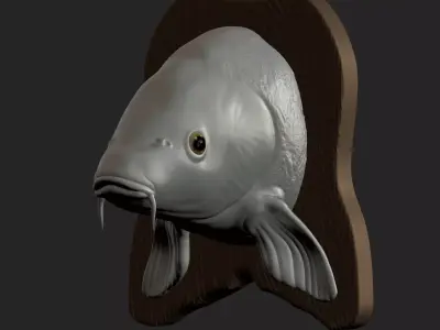 CARP DETAILED TEXTURE TROPHY TAXIDERMY FOR 3D PRINTING Free 3D print model