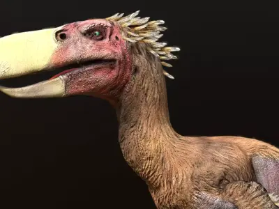 Kelenken Low-poly 3D model