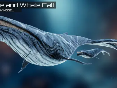 Whale and Whale Calf - Underwater Creature Animated Monster - 23 Low-poly 3D model