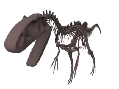 Allosaurus Skeleton 3D model
