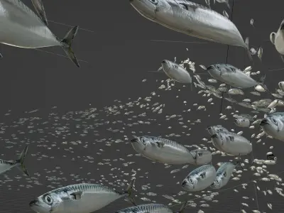 Maquereau mackerel fish Low-poly 3D model