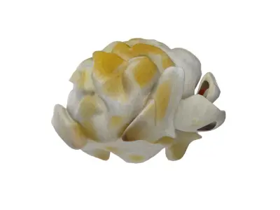 Popcorn 4  Low-poly 3D model