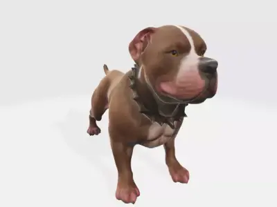 Pitbull dog 3D model