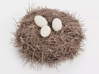 -Stork Nest with Eggs- 3D model