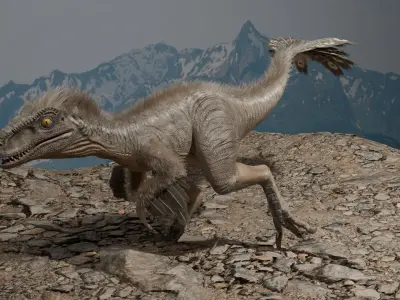 Deinonychus rigged(1) 3D model