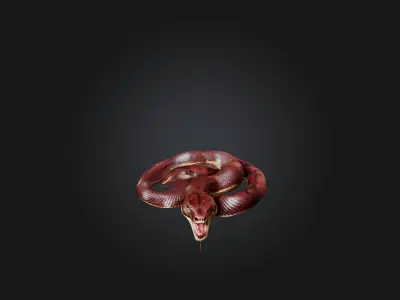 Realistic Wounded Snake Model Low-poly 3D model