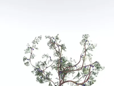 EVERYPlant Baiera 4 --14 Models-- 3D model