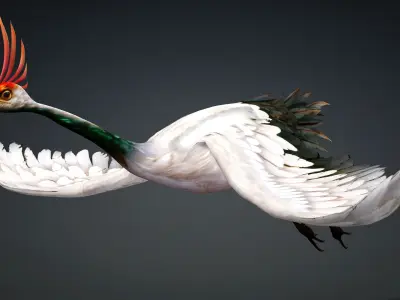 Crane Bird-B3 3D model