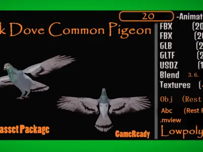 Rock Dove Common Pigeon Bird Low-poly 3D model