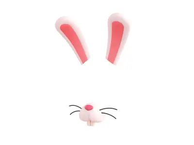 Rabbit Face 3D model