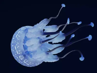 Tropical Jellyfish Phyllorhiza  Animated 3D model