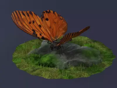 Danaus Plexippus Butterfly Milkweed Monarch  3D model