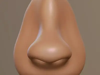 Matcap nose part 3D model
