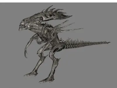 Alien 1007 3D model