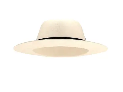 Fedora Hat Isolated 3D model