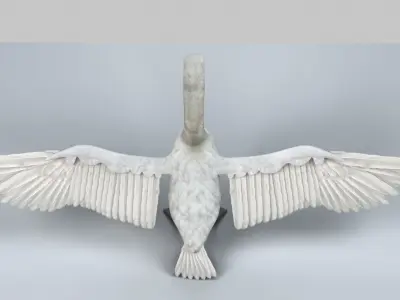 Swan Animation 3D model