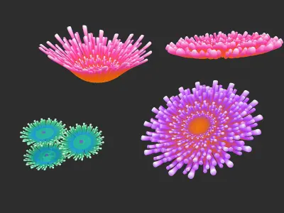 coral collection grapes 3D model