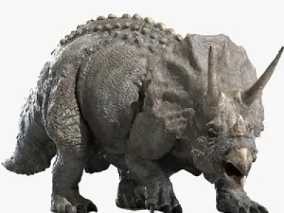 Triceratops (Rigged)
