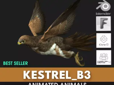 Kestrel B3 3D model