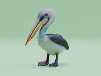 Baby Pelican Cute Low-poly 3D model