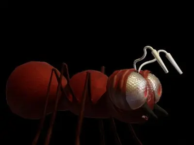 ant-rigged ant Low-poly 3D model