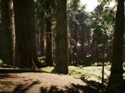 Redwood forest for game ready Low-poly 3D model