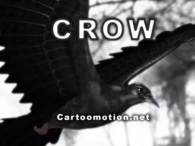 Crow - Animated Low-poly 3D model