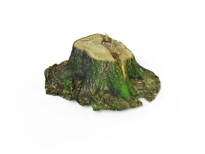 Forest Tree Stump 4K -Part 3- Free low-poly 3D model