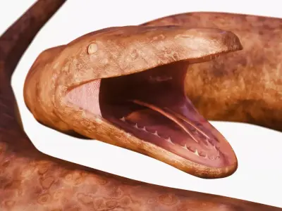 Titanoboa Snake Low-poly 3D model