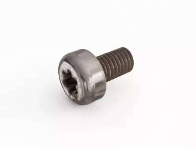 Screw 163 3D model
