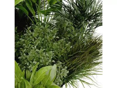 Collection plant vol 394 blender model Free 3D model