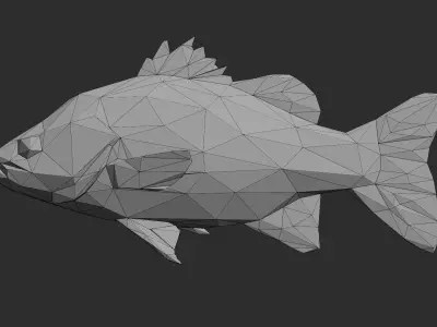 Low Poly Australian Bass Low-poly 3D model