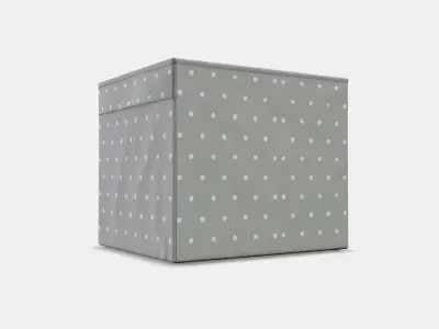 DRONA compartment 4 Low-poly 3D model