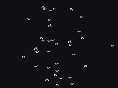 Flock White Bird Animated Swarm Dove Shoal Birds Seagull Low-poly 3D model