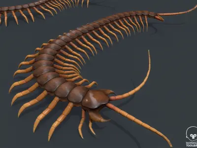 Pbr Centipede ball with Low-poly 3D model