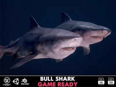 Bull Sharks Low-poly 3D model