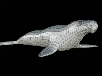Elephant Seal Base Mesh Low-poly 3D model