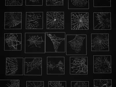 Spider Webs Pack Three Low-poly 3D model