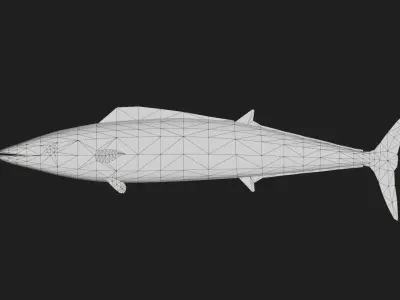Wahoo Low-poly 3D model