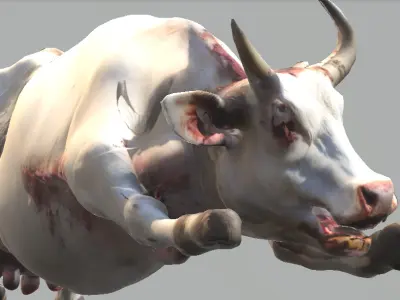 Cattle Mutilation 3D model