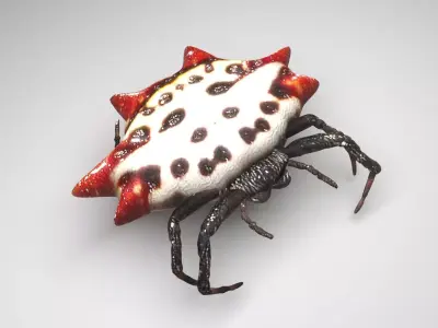Gasteracantha Spider 3D model