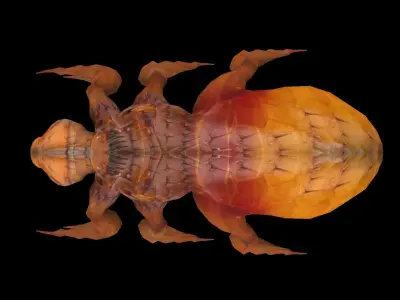 Fleas Insect Tick Louse 3D model Low-poly 3D model