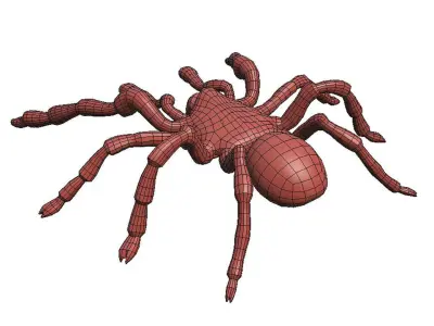 Tarantula low poly spider 3D model