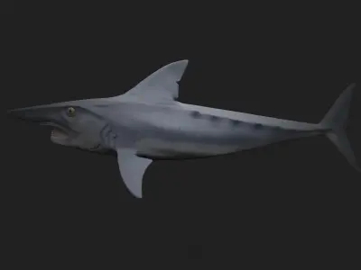 Helicoprion Low-poly 3D model