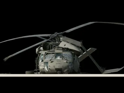 Black Hawk Wreck 3D model